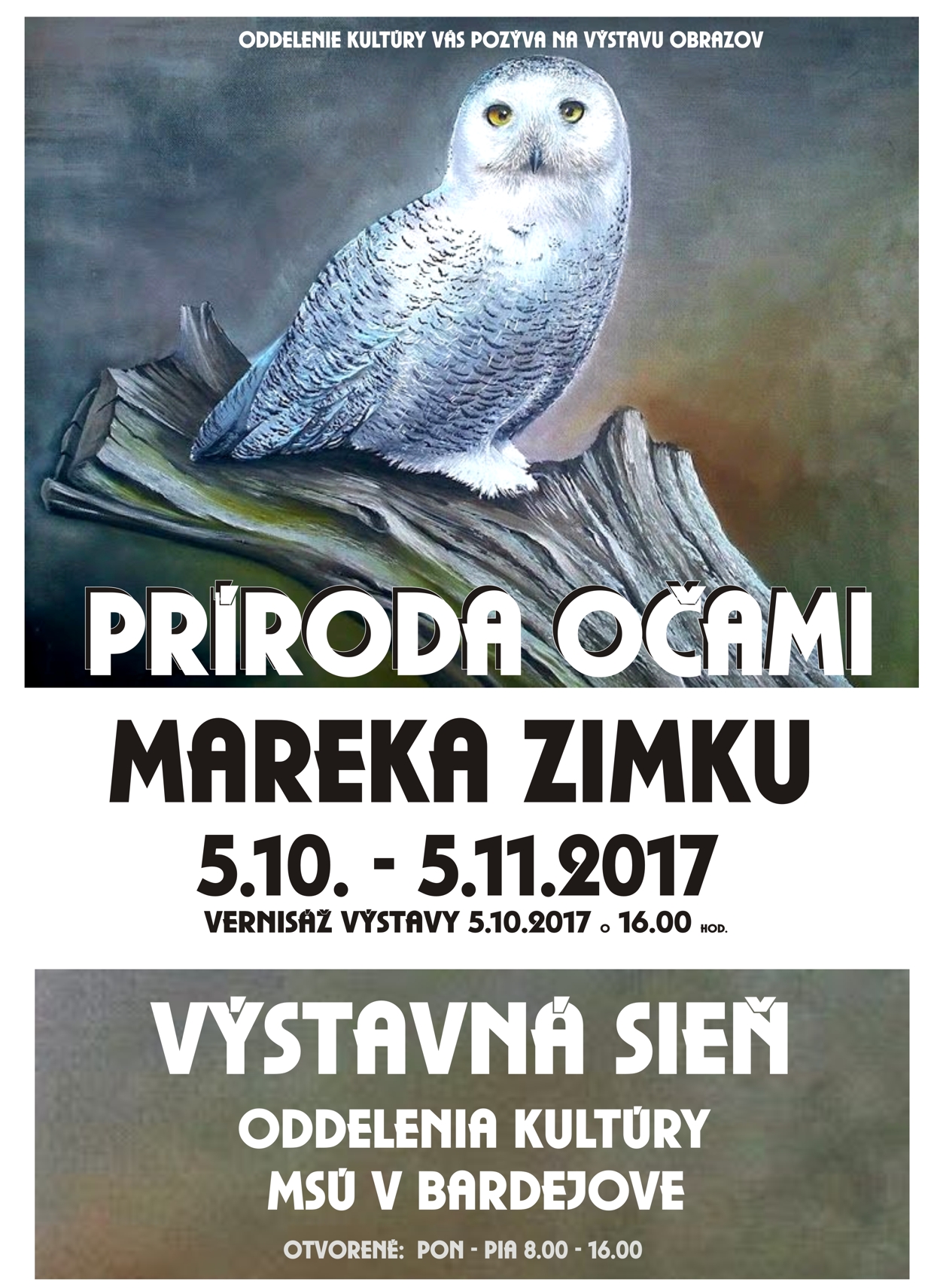 Marek Zimka2017plag