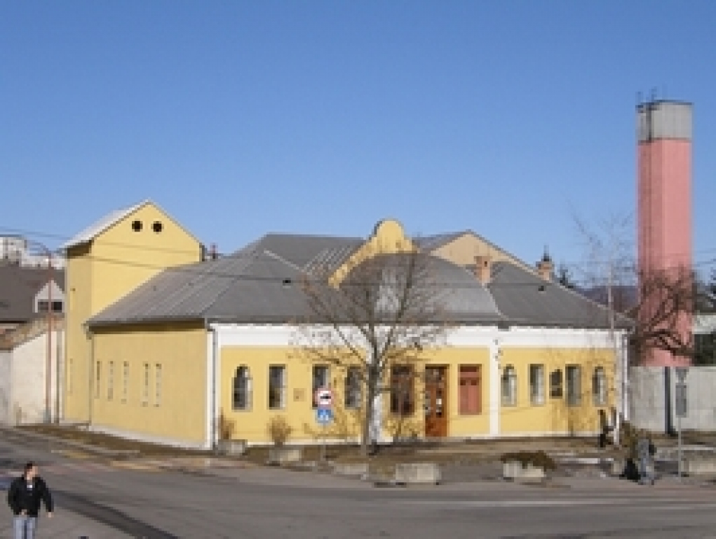buzna_poslena